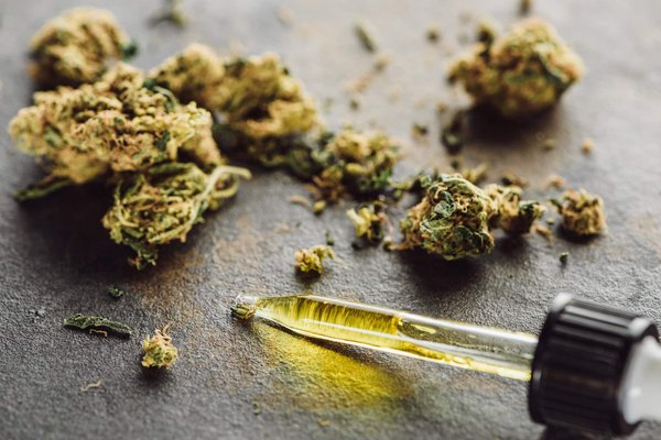 Fleurs de chanvre : quelles sont les variétés les plus populaires ?