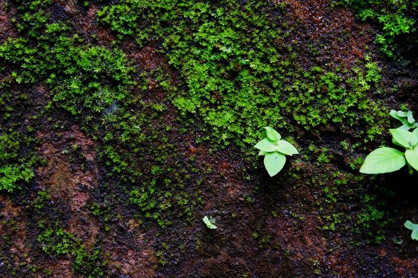 Quels films romantiques sauront enchanter votre soirée en amoureux ?